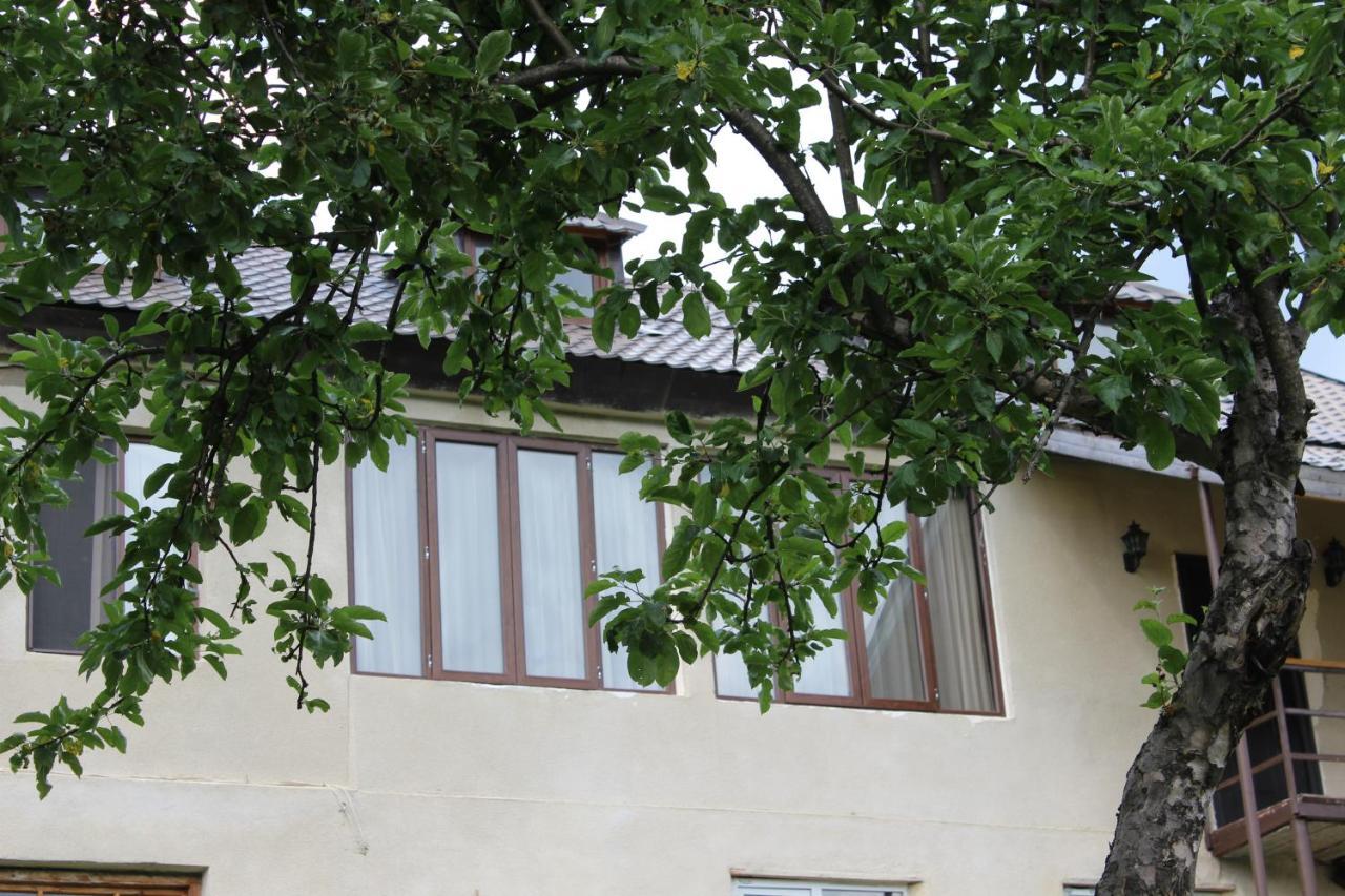 Village House Mestia Bagian luar foto
